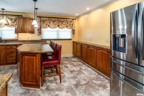 Tiny photo for 9784 Highway 127 St, Murphysboro, IL 62966 (MLS # EB460450)