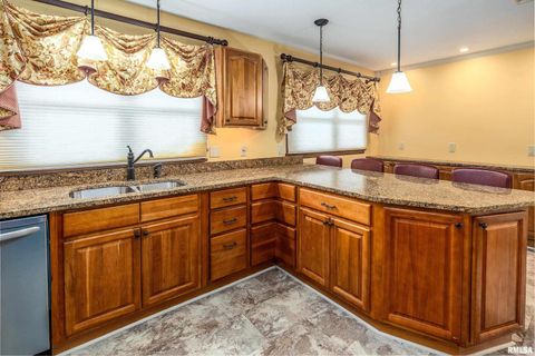 Tiny photo for 9784 Highway 127 St, Murphysboro, IL 62966 (MLS # EB460450)