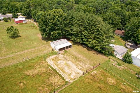 Tiny photo for 9784 Highway 127 St, Murphysboro, IL 62966 (MLS # EB460450)
