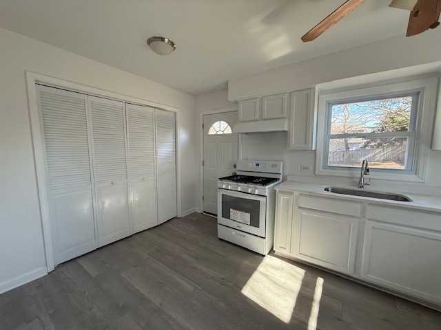 36855 N Elizabeth Drive