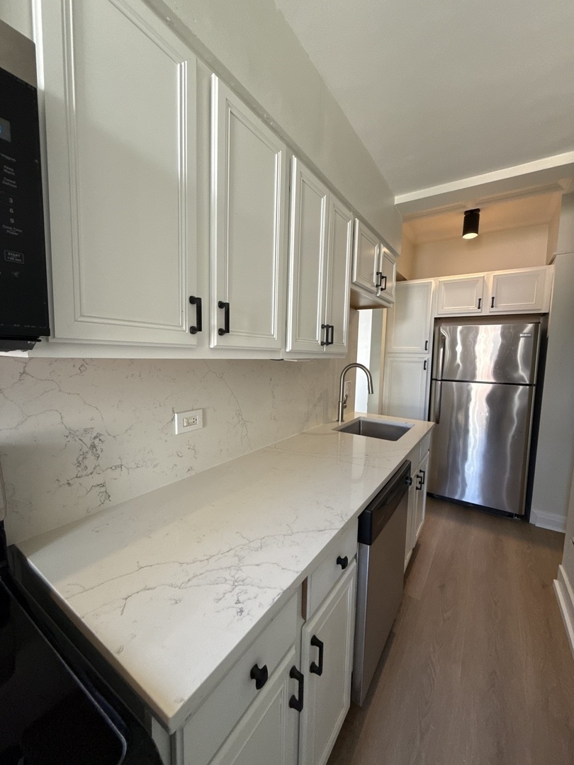 1211 N LASALLE Street 1503