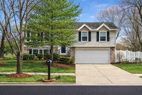 Photo of 128 S BIRCHWOOD Drive, Naperville, IL 60540 (MLS # 12592339)