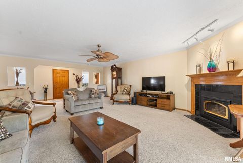 Tiny photo for 225 CARROLL Street, Colona, IL 61241 (MLS # QC4270047)