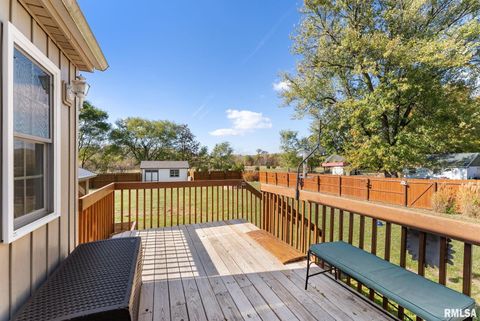 Tiny photo for 225 CARROLL Street, Colona, IL 61241 (MLS # QC4270047)