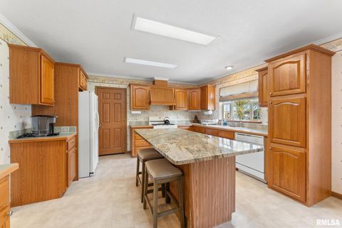 Tiny photo for 225 CARROLL Street, Colona, IL 61241 (MLS # QC4270047)