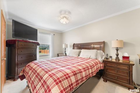 Tiny photo for 225 CARROLL Street, Colona, IL 61241 (MLS # QC4270047)