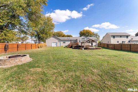 Tiny photo for 225 CARROLL Street, Colona, IL 61241 (MLS # QC4270047)