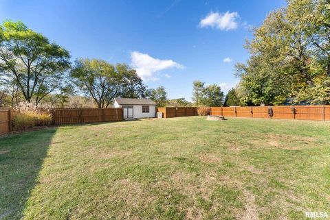 Tiny photo for 225 CARROLL Street, Colona, IL 61241 (MLS # QC4270047)