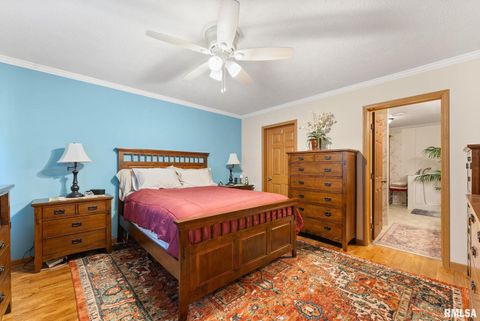 Tiny photo for 225 CARROLL Street, Colona, IL 61241 (MLS # QC4270047)