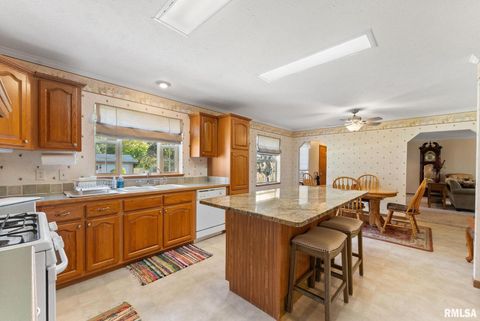 Tiny photo for 225 CARROLL Street, Colona, IL 61241 (MLS # QC4270047)