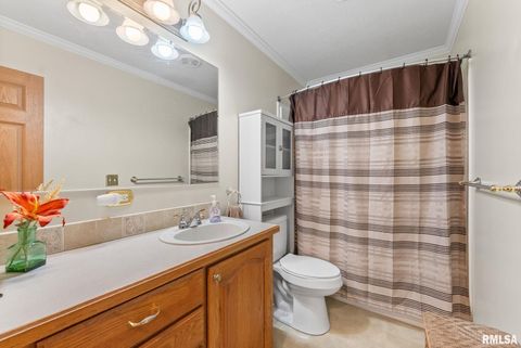 Tiny photo for 225 CARROLL Street, Colona, IL 61241 (MLS # QC4270047)