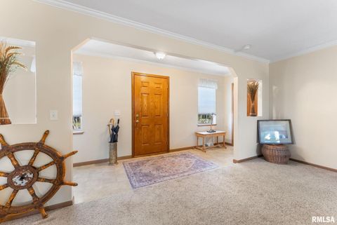 Tiny photo for 225 CARROLL Street, Colona, IL 61241 (MLS # QC4270047)