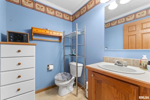 Tiny photo for 225 CARROLL Street, Colona, IL 61241 (MLS # QC4270047)