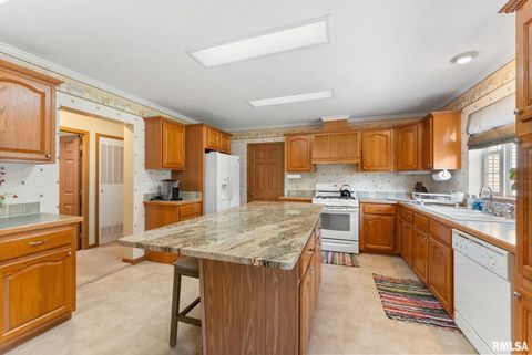 Tiny photo for 225 CARROLL Street, Colona, IL 61241 (MLS # QC4270047)