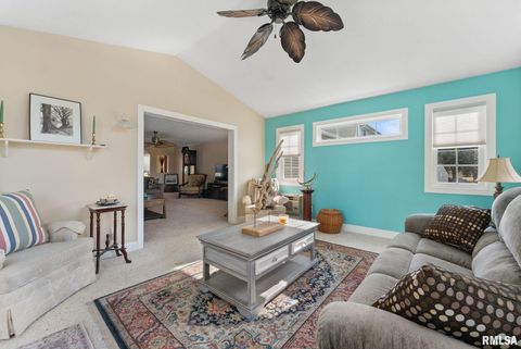 Tiny photo for 225 CARROLL Street, Colona, IL 61241 (MLS # QC4270047)