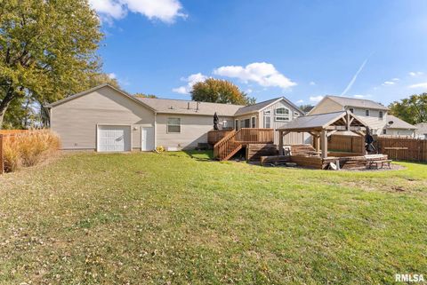 Tiny photo for 225 CARROLL Street, Colona, IL 61241 (MLS # QC4270047)