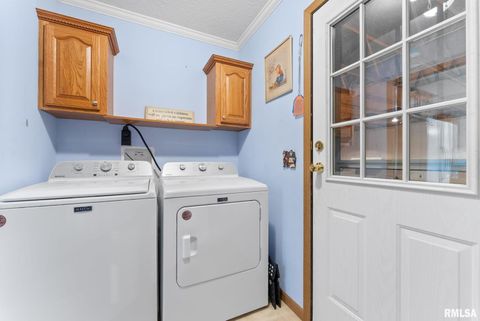 Tiny photo for 225 CARROLL Street, Colona, IL 61241 (MLS # QC4270047)