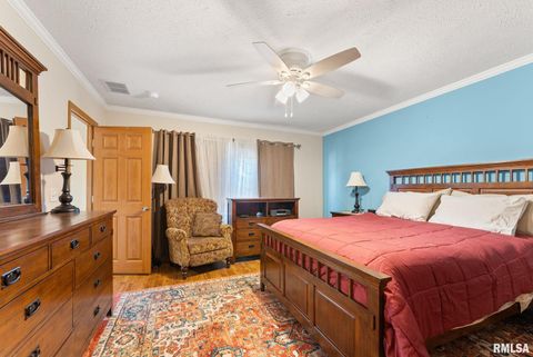 Tiny photo for 225 CARROLL Street, Colona, IL 61241 (MLS # QC4270047)