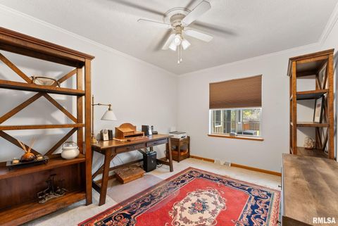 Tiny photo for 225 CARROLL Street, Colona, IL 61241 (MLS # QC4270047)