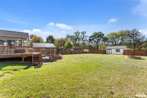 Tiny photo for 225 CARROLL Street, Colona, IL 61241 (MLS # QC4270047)