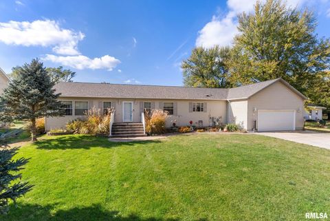 Photo of 225 CARROLL Street, Colona, IL 61241 (MLS # QC4270047)