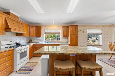 Tiny photo for 225 CARROLL Street, Colona, IL 61241 (MLS # QC4270047)