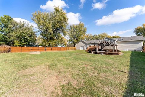 Tiny photo for 225 CARROLL Street, Colona, IL 61241 (MLS # QC4270047)