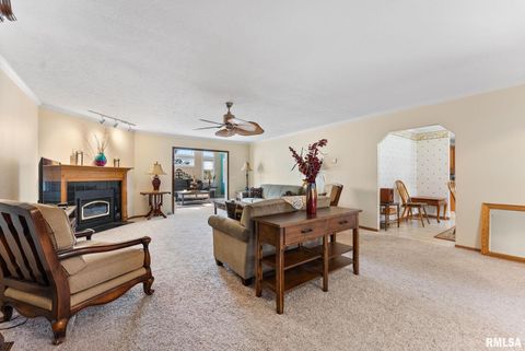 Tiny photo for 225 CARROLL Street, Colona, IL 61241 (MLS # QC4270047)