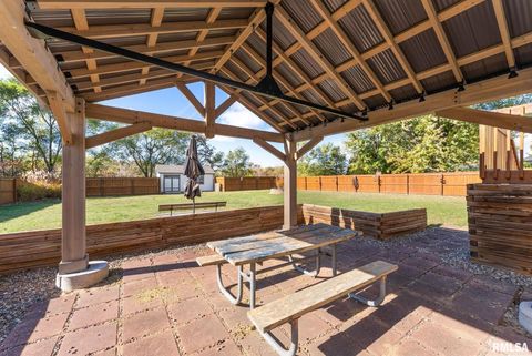 Tiny photo for 225 CARROLL Street, Colona, IL 61241 (MLS # QC4270047)