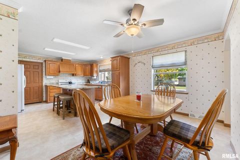 Tiny photo for 225 CARROLL Street, Colona, IL 61241 (MLS # QC4270047)