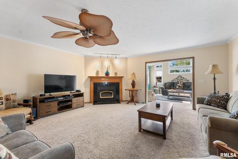 Tiny photo for 225 CARROLL Street, Colona, IL 61241 (MLS # QC4270047)