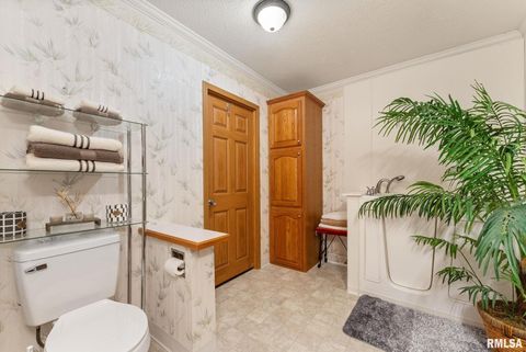 Tiny photo for 225 CARROLL Street, Colona, IL 61241 (MLS # QC4270047)