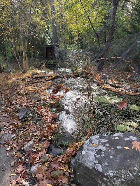 Tiny photo for 15539 S Gougar Road, Homer Glen, IL 60491 (MLS # 12506883)