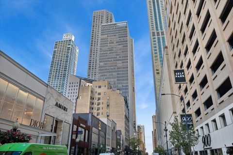 100 E Walton Street 33A Chicago IL 60611