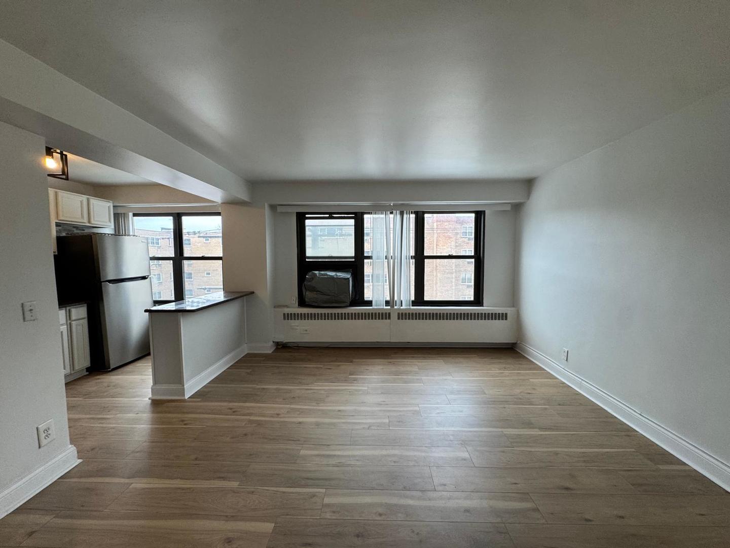 6118 N Sheridan Road 410