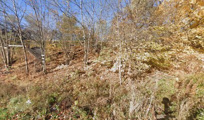 2151 W 53rd Place