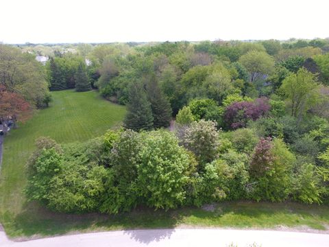 2556 Lincoln Avenue Long Grove IL 60047