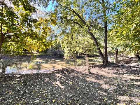 Tiny photo for 385 166th Street, Calumet City, IL 60409 (MLS # 12782627)