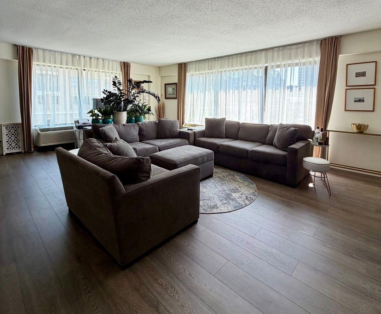 1143 S Plymouth Court 501
