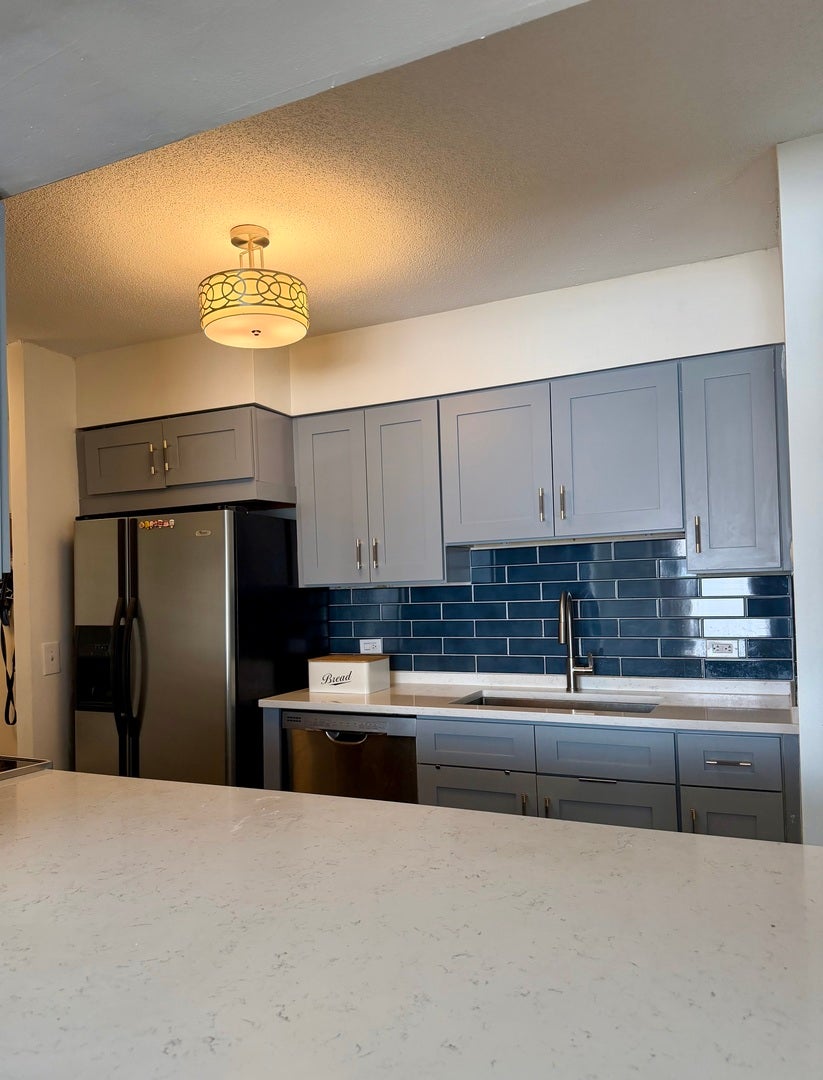 1143 S Plymouth Court 501