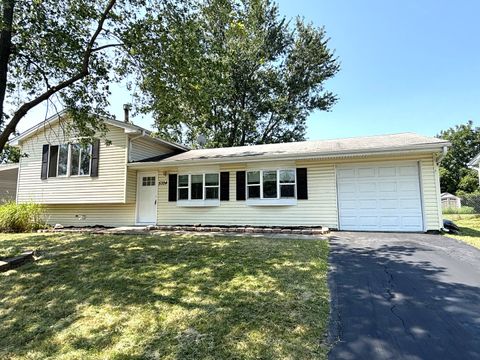 5324 W Cinema Drive Hanover Park IL 60133
