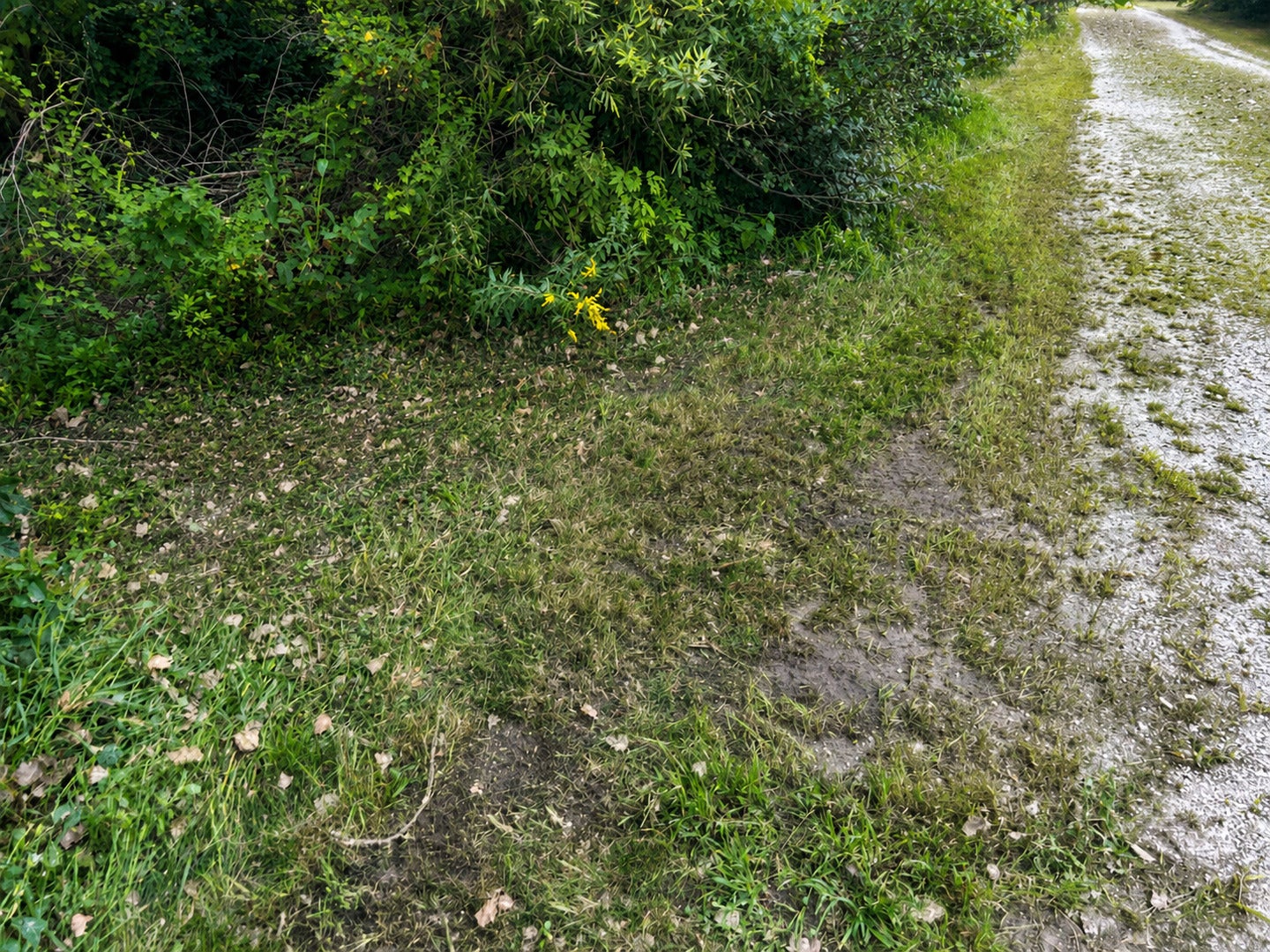 0000 15500 Road