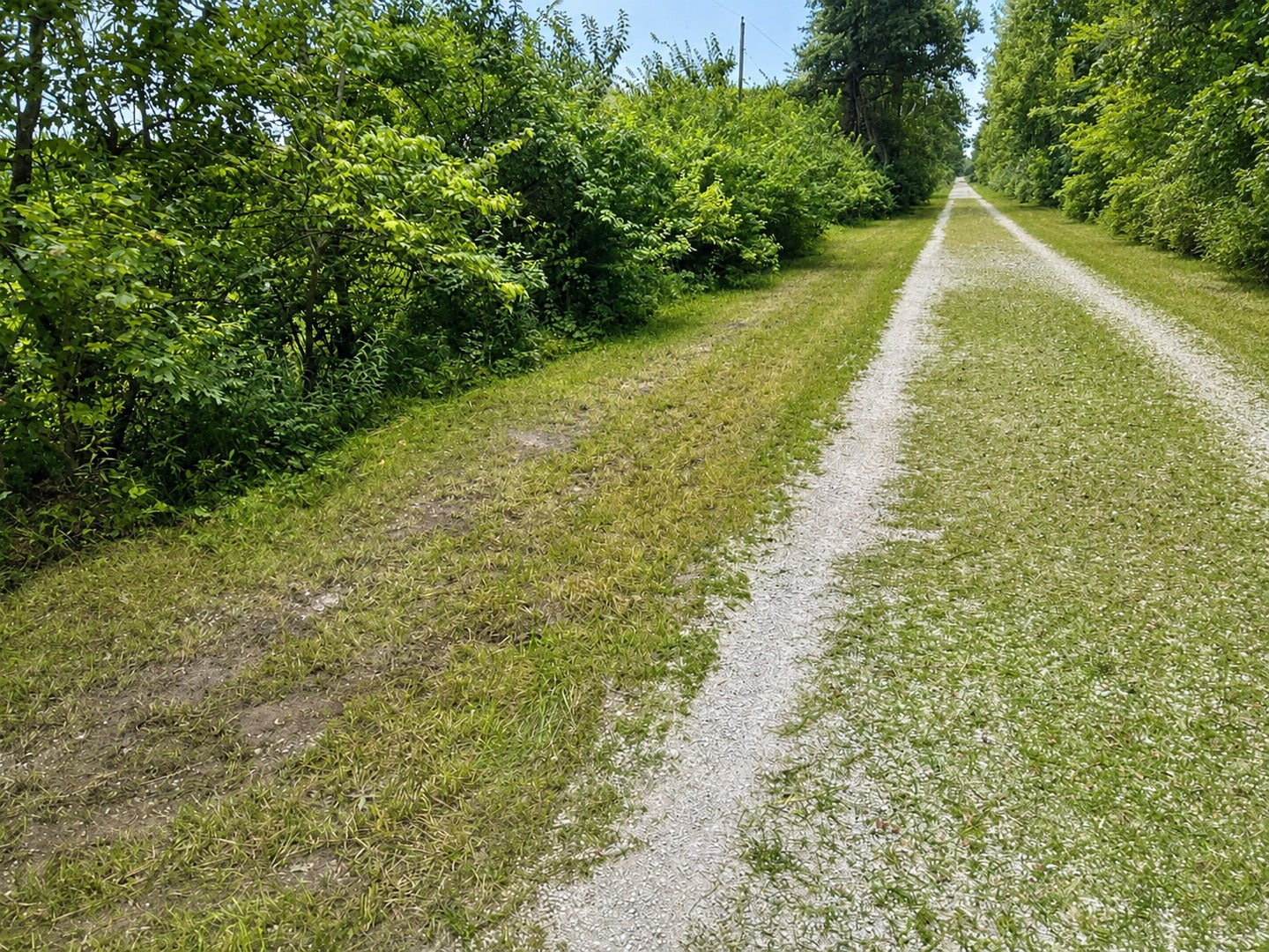 0000 15500 Road
