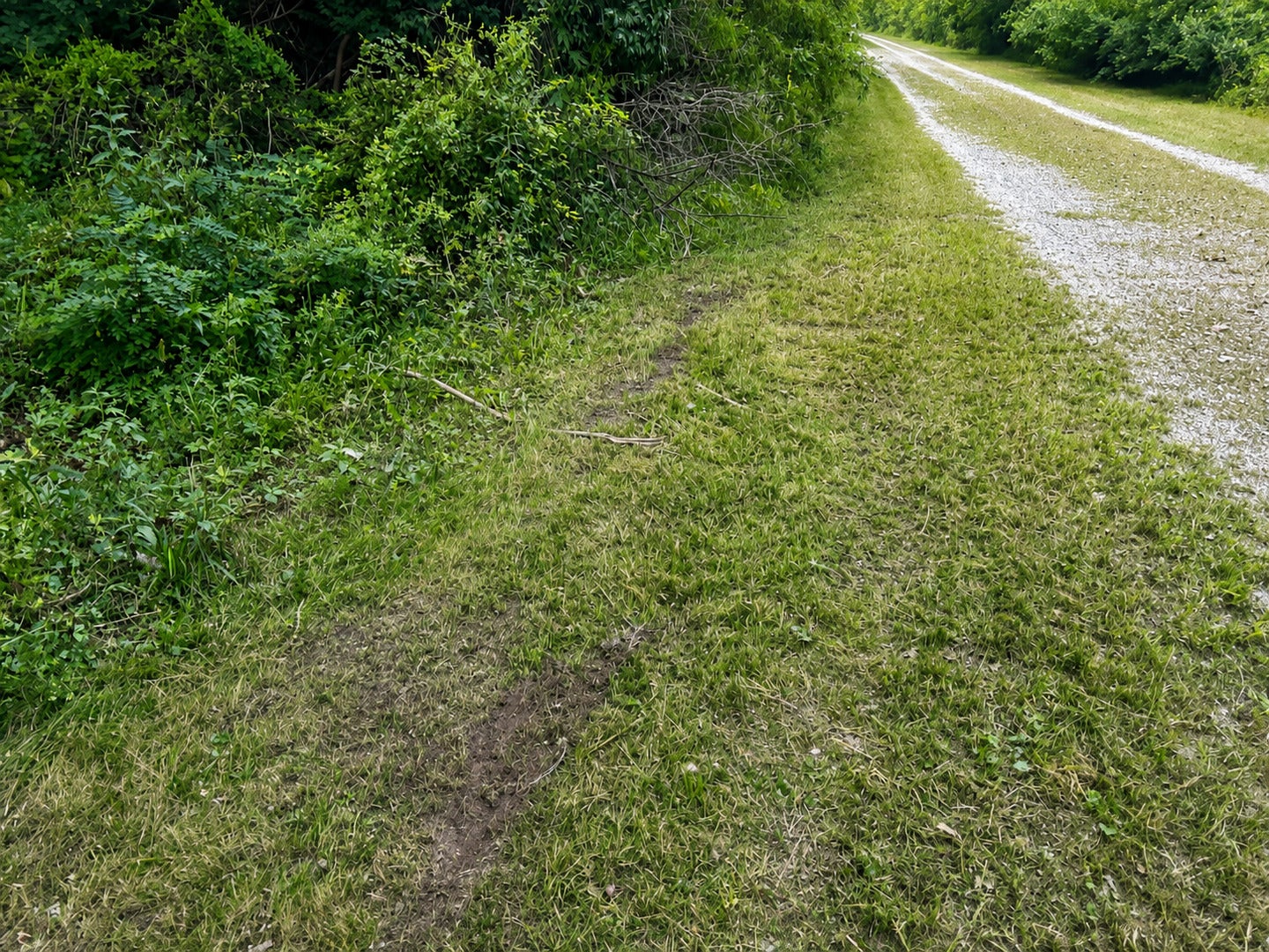 0000 15500 Road
