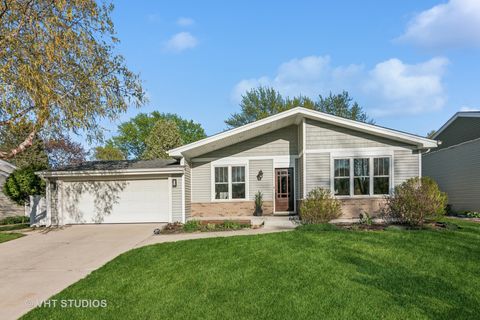 389 Weidner Road Buffalo Grove IL 60089