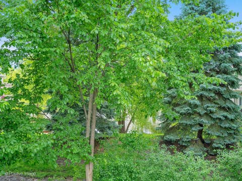 Tiny photo for 290 LOVELAND Drive, Glendale Heights, IL 60139 (MLS # 12673474)