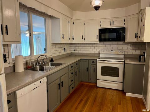 Tiny photo for 1508 E WALNUT Street, Carbondale, IL 62902 (MLS # EB460740)