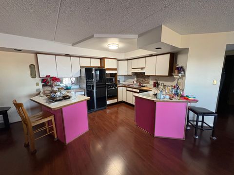 Tiny photo for 1133 7th Street #506, Rochelle, IL 60168 (MLS # 12551133)