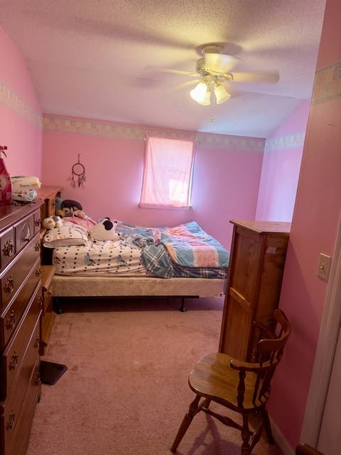 Tiny photo for 435 E Main Street, Tiskilwa, IL 61368 (MLS # 12738618)