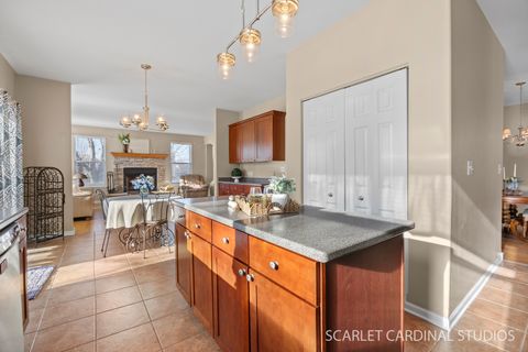 Tiny photo for 401 Bower Lane, Oswego, IL 60543 (MLS # 12541986)